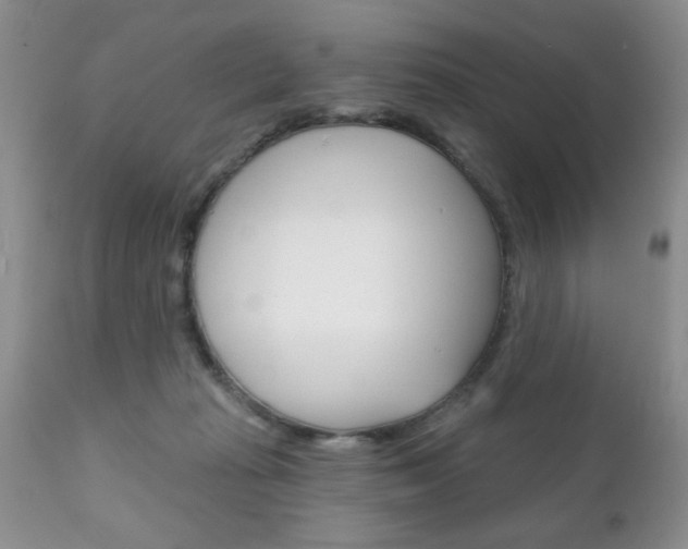 X0000111130269200906301112