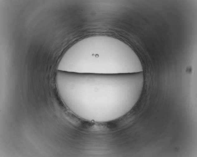 X0000111130270200906301112