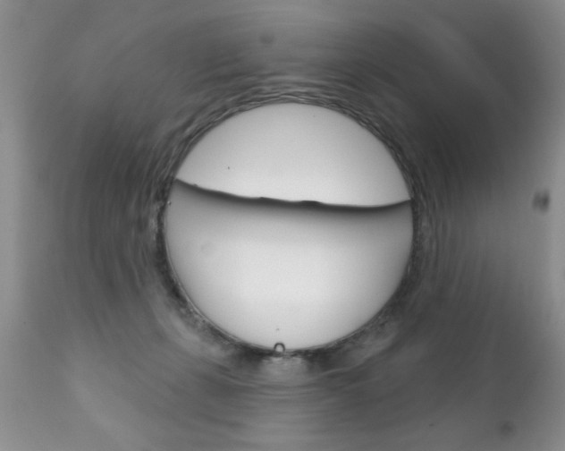 X0000111130271200906301112