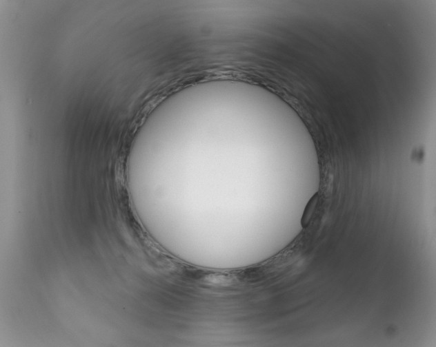 X0000111130272200906301112