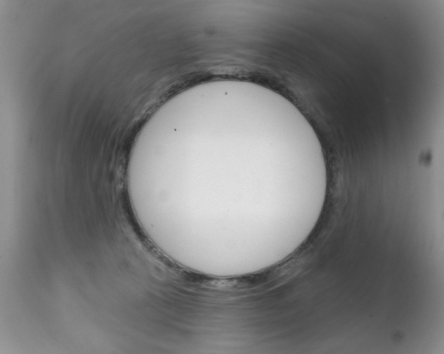 X0000111130273200906301112