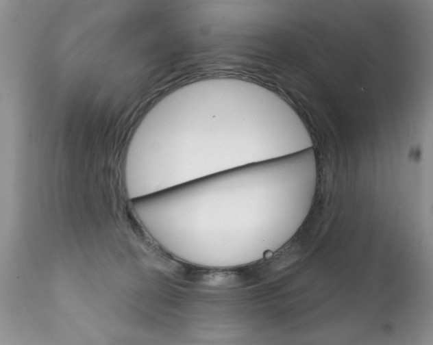 X0000111130274200906301112