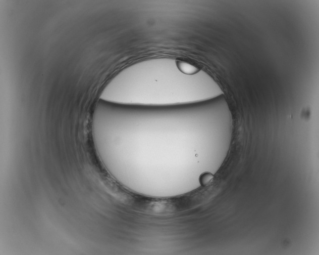 X0000111130275200906301112