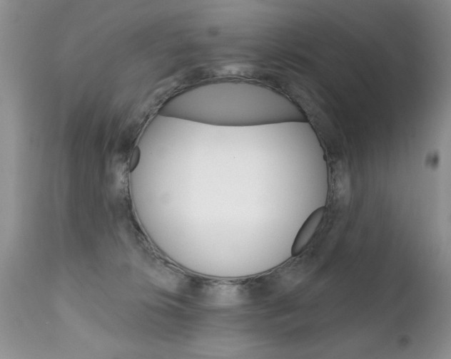 X0000111130276200906301112