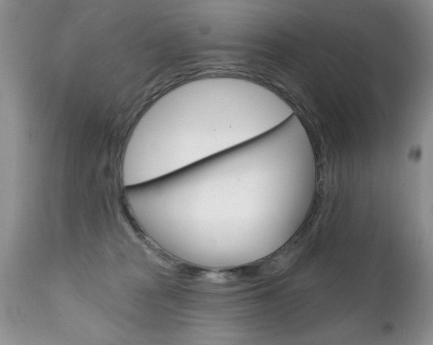 X0000111130277200906301112