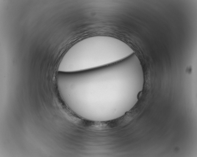 X0000111130278200906301113