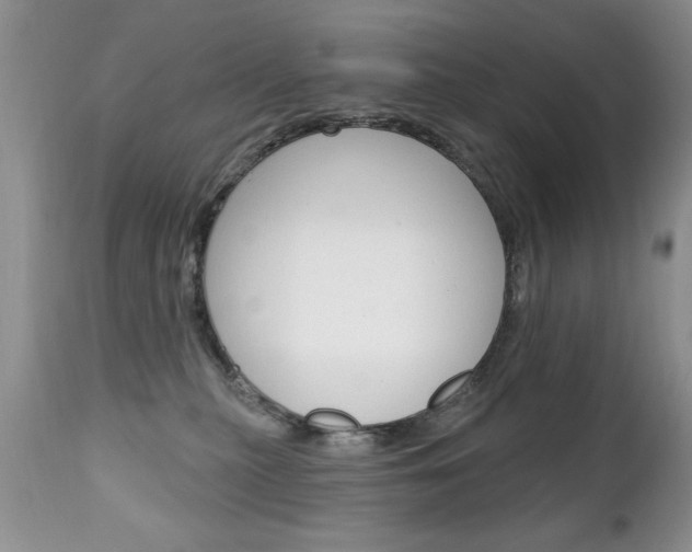 X0000111130279200906301113