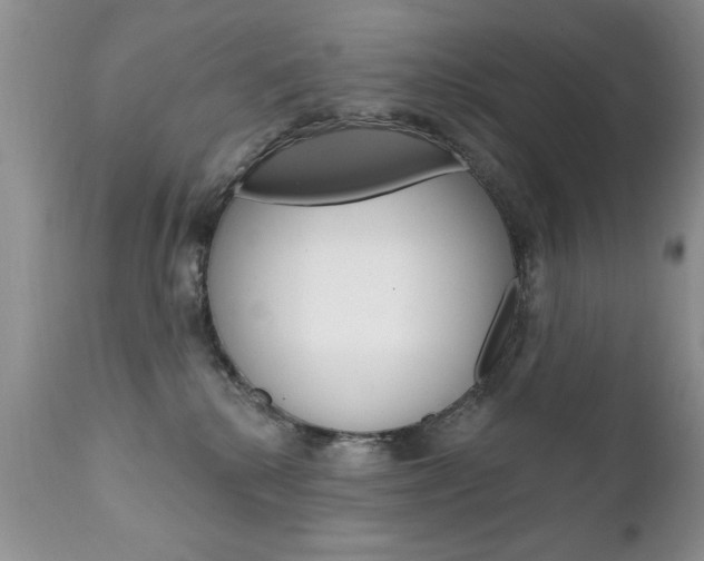 X0000111130280200906301113
