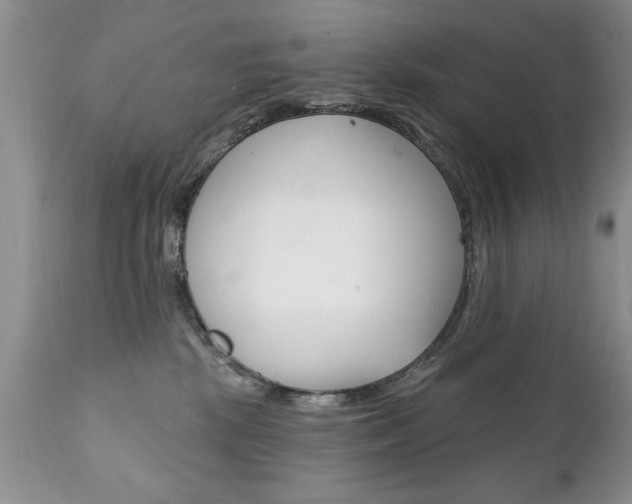 X0000111130281200906301113