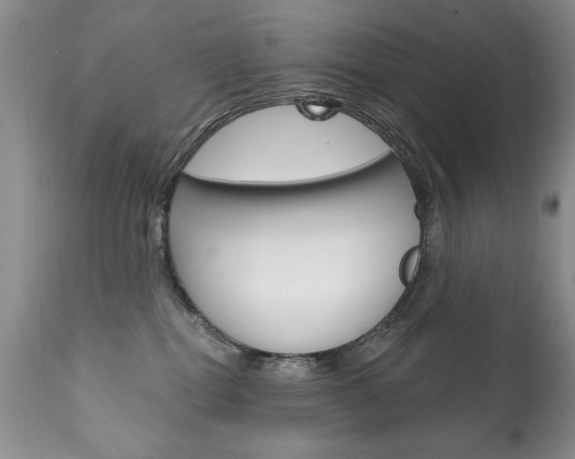 X0000111130282200906301113