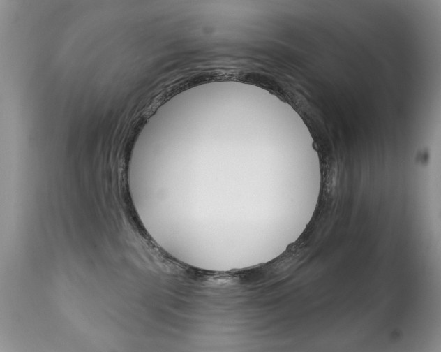 X0000111130283200906301113