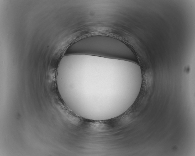 X0000111130284200906301113