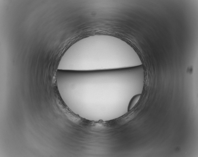 X0000111130285200906301113