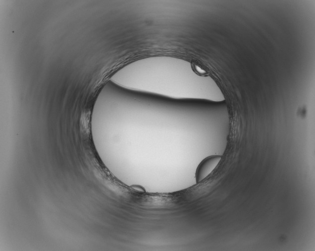 X0000111130286200906301113