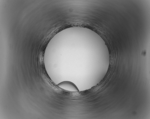 X0000111130287200906301113