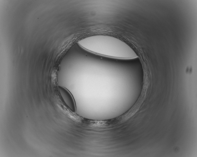 X0000111130288200906301113