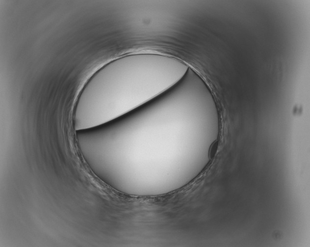 X0000111130289200906301112