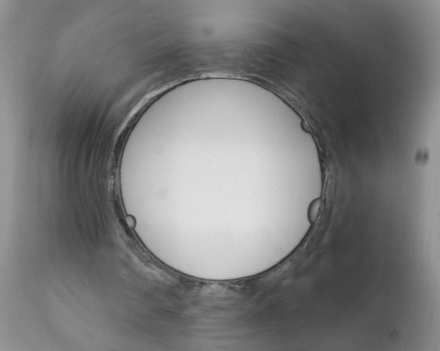 X0000111130290200906301112