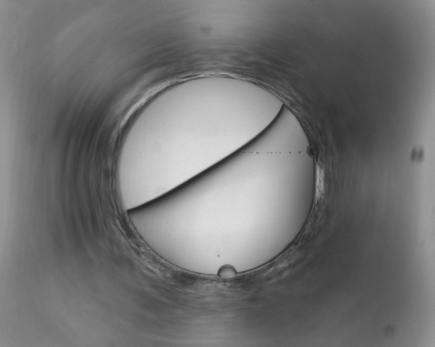 X0000111130291200906301112