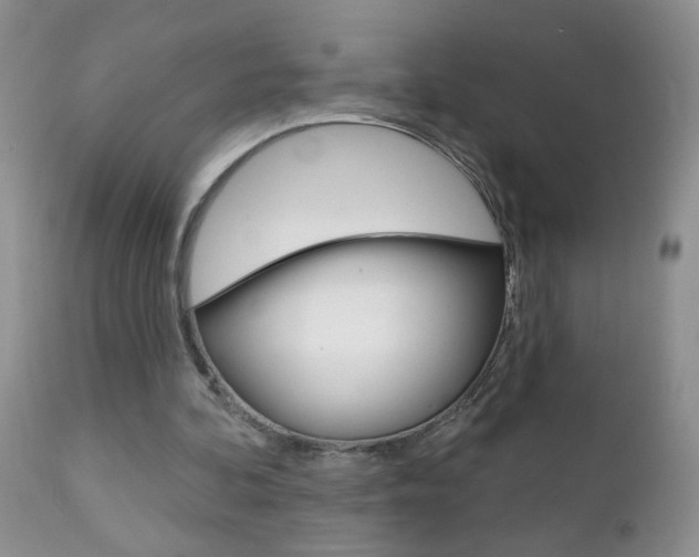 X0000111130292200906301112