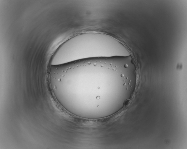 X0000111130293200906301112