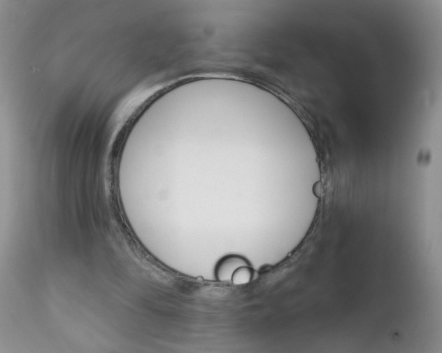 X0000111130294200906301112