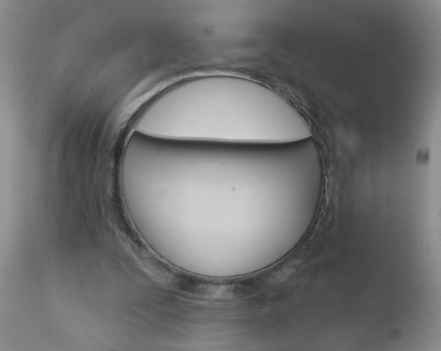 X0000111130295200906301112