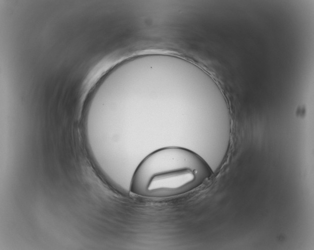 X0000111130296200906301112