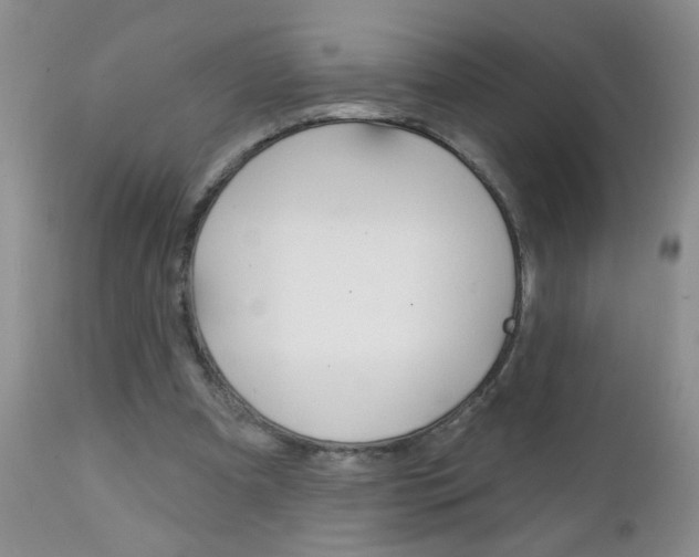 X0000111130297200906301112