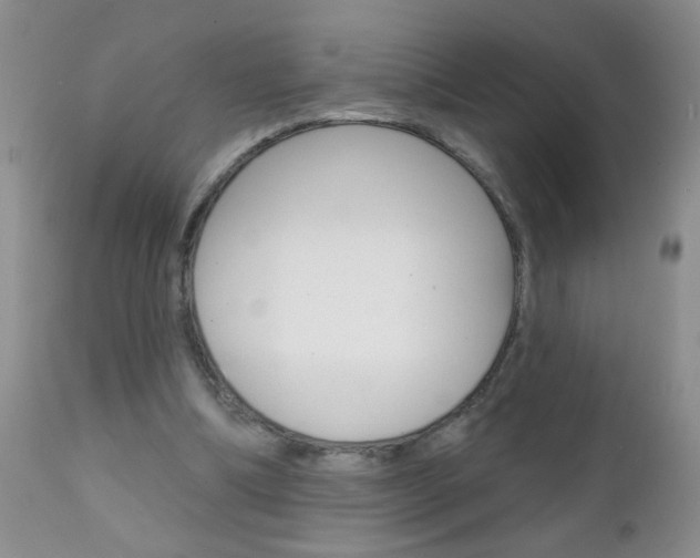 X0000111130298200906301112