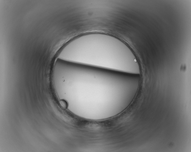 X0000111130299200906301112