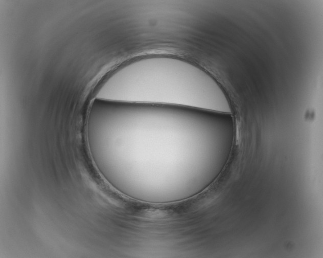 X0000111130300200906301112