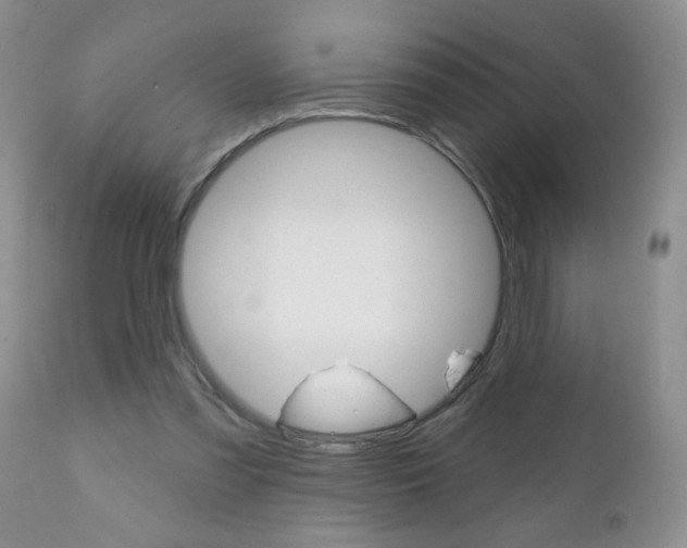 X0000111130301200906301112