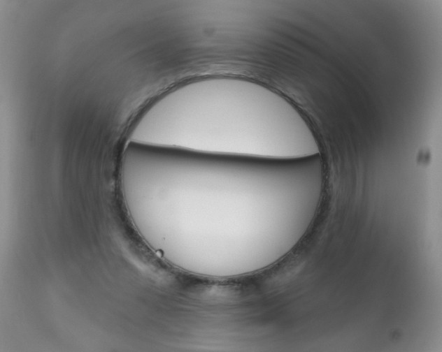 X0000111130303200906301112