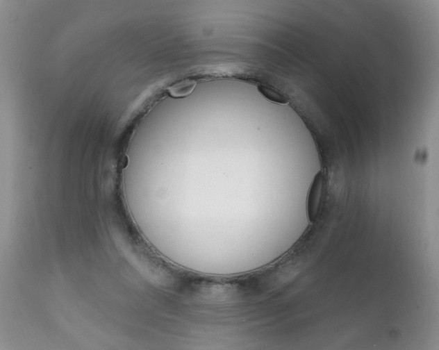X0000111130304200906301112