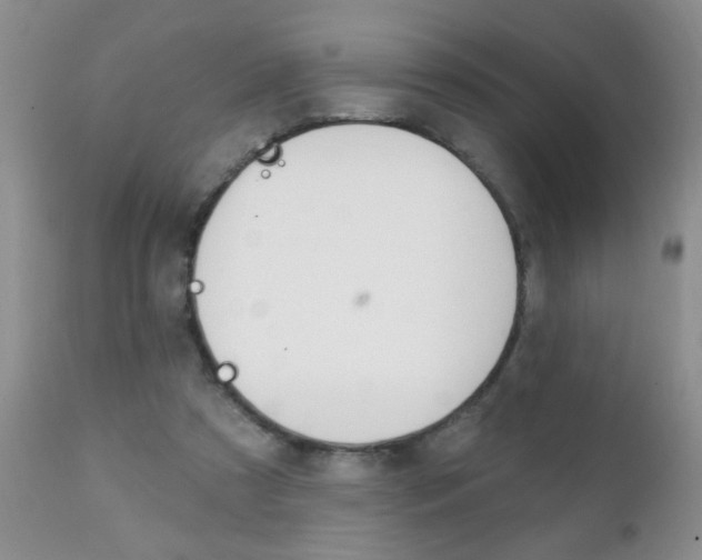X0000111130305200906301112