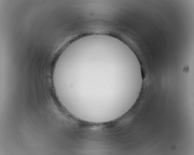 X0000111130306200906301112