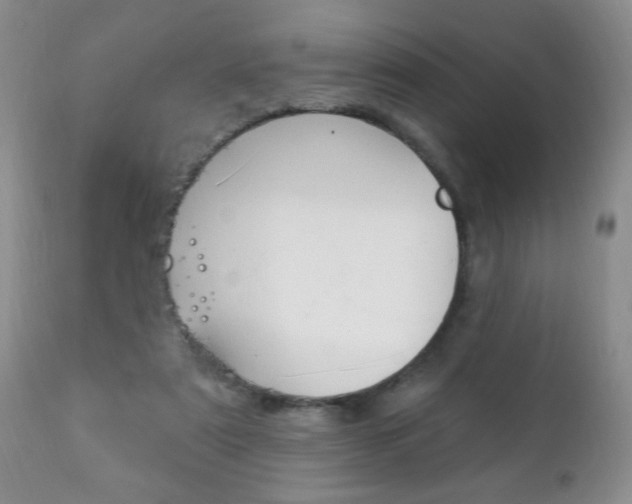 X0000111130307200906301112