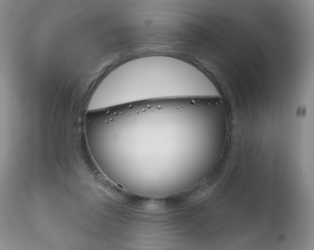 X0000111130308200906301112