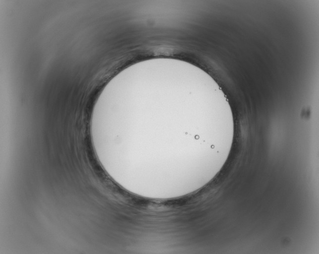 X0000111130311200906301111