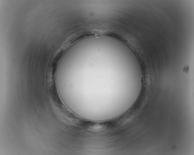 X0000111130312200906301111