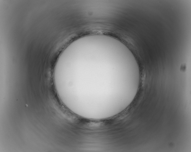 X0000111130314200906301111