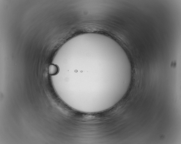 X0000111130315200906301111