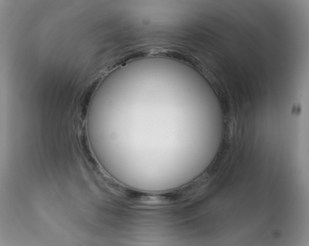 X0000111130316200906301111