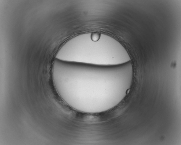 X0000111130319200906301111