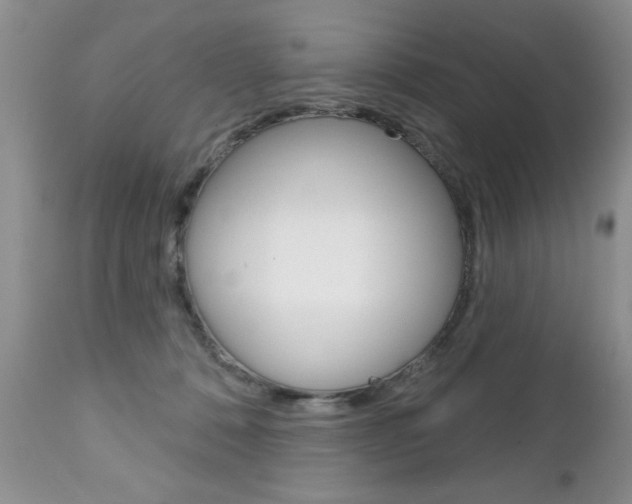 X0000111130320200906301111