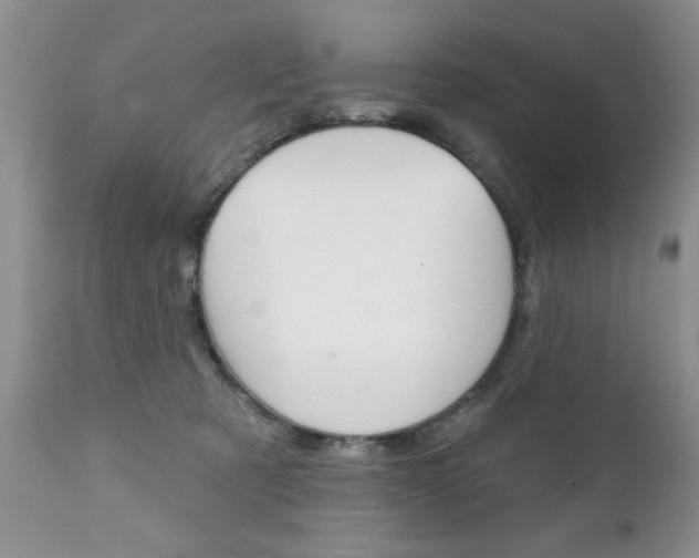 X0000111130321200906301111