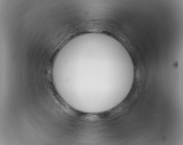 X0000111130322200906301111