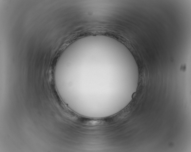 X0000111130323200906301111
