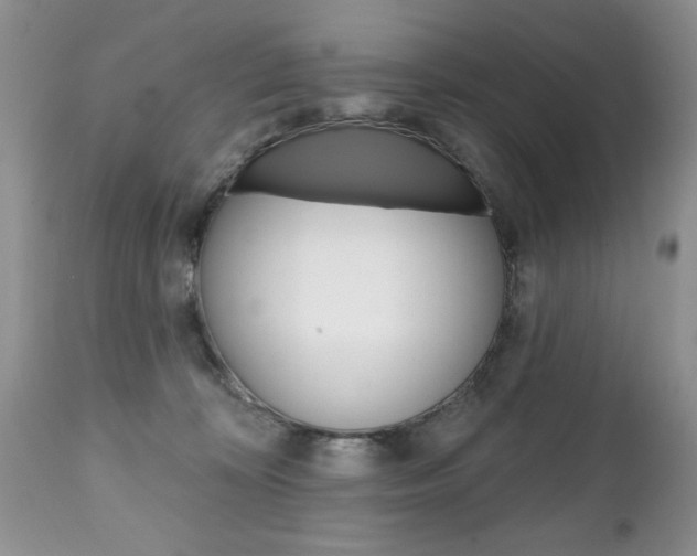 X0000111130324200906301111